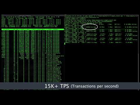 Interplay load testing  (Ludicrous Scale)