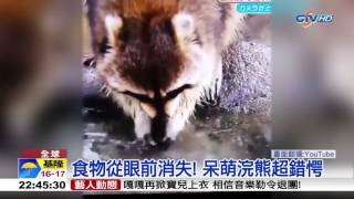 棉花糖泡水溶光光，浣熊傻眼好錯愕4B65F929 10501062242B1FC 43F4 9E97 FD1155E75DA3