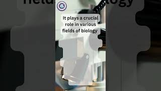 Visual Analysis of Microscopic Cellular Structures