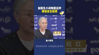 当陌生小动物靠近时相遇皆含因果 动物 科学养宠攻略 养宠进阶指南 养宠人 养宠知识