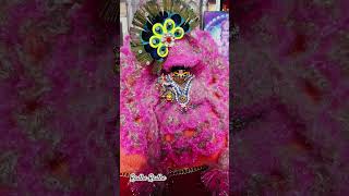 Radhe Radhe #geetarabari #garba #zankaar2 #nonstopgarba2023 #premanand #hindugreeting #music