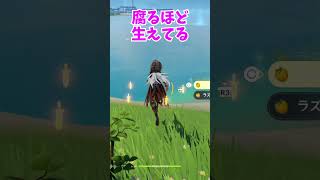 【原神】初心者がやってはいけないこと #shorts #原神 #genshinimpact
