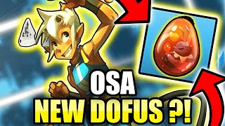 TOP 1 OBJECTIVE NEW OSA! [TARKAN DOFUS]