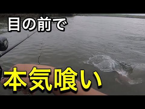 【コラボ】目の前で僕のビッグぺ○スが襲われそうになりました。