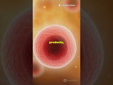 How Your Body Detects Scaffold Breakdown #sciencefather #researchaward #biomedical #biologist