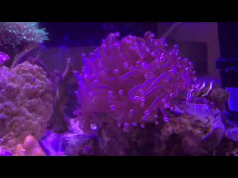 How I do my water changes