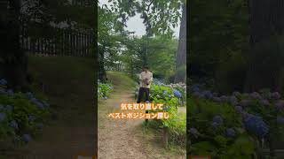 紫陽花撮影会のロケハン&モニター撮影