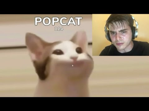 POPCAT 玩家就像: