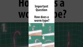 Important Question