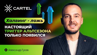 Халвинг - ложь. Настоящий триггер альтсезона только появился