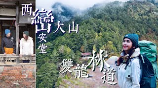 膝軟了！兩天一夜雙龍林道登西巒大山不輕鬆！霧雨林道累茫茫，巒安堂野營美味最療癒