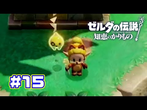 【ゼルダの伝説 知恵のかりもの】　ミニチャレとネコの服　part15　　#ゲーム実況 #ゼルダの伝説知恵のかりもの