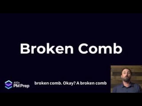 Broken Comb Skills in Agile Teams – Embracing Versatility and Depth