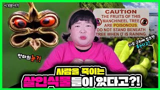 [이거알아?! - 식물]이 나무🌳 근처에만 가면 죽는다!?ㄷㄷㄷ 사람을 죽일 수 있는 가장 위험한 식물들 대공개!!🌴
