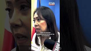 Bagong OVP Spokesperson, hindi magiging attack dog ni VP Sara