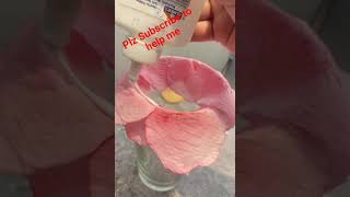 viral flower from glass|| #diy #flowers #viraldiy