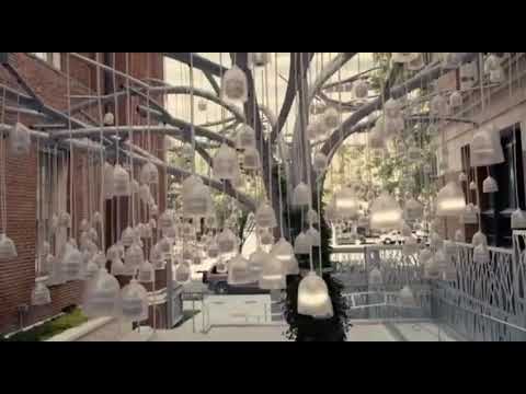 Planet Word Grand Opening