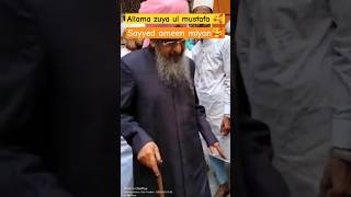 Allama ziyaul Mustafa sunniyon ki jaan// #asnadraza #status #viral  #ziyaulmustafa #islam #shorts