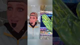 Follower’s story. #pov #funny #storytime #part1