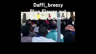Daffibreezy Blue flower #music #trending #firesong #artist #everyone #today #top4trend #latestsong