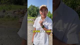 老妈才是社交王者，跟泰国人用上海话聊家常！你们爸妈出国都说什么话跟老外聊天？有没有跟我妈一样的？哈哈#大有学问 #清迈 #妈咪新风向 #我们自有答案
