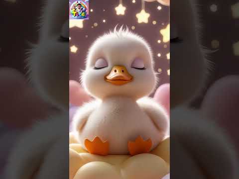 Gentle Baby Duck 🐤 Soothing Pastel Loop for Babies #shorts  #babylullaby #babysleep