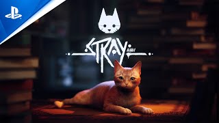 Stray - State of Play June 2022 Trailer | PS5 & PS4 Games