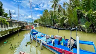 槟城之椰林稻田榴莲香，沙滩海浪扇贝鲜Penang Trip Balik Pulau Durian &Padi Field ，Collect fresh scallops onshore
