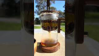 Forest Berry Black Tea with Moringa & Chokeberries – Jumanji from papatea.com.au
