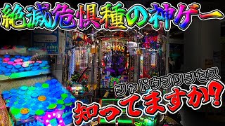 【極メダ】シャドウプリンセスはゲーム性も世界観も全てが良き神ゲーです。設置ないけど。【シャドプリ】【メダパ】