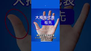 What's a “Confucius Eye?” What does it represent? Do you have one? #palmreading #JinBodhiPhysiognomy