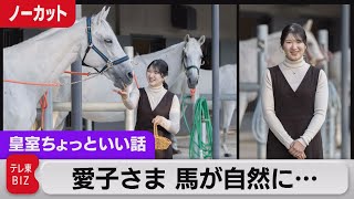 愛子さまと馬 ノーカット 21歳の誕生日…愛犬・愛猫の“ご家族の近況”も【皇室ちょっといい話】(83)（2022年12月1日）