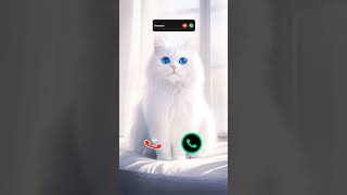 #call #iphone #ringtone #smartphone #ringtones #tech #innovation #iphone15 #mobiletech #cat