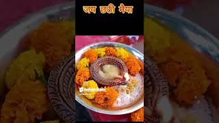 Chhath Puja Mahaparva Sandhya Arghya / A Sacred Ritual of Devotion and Fasting #chhathpuja #shorts