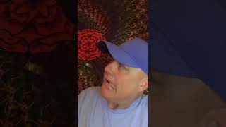 Shoenice22 - A cat joke #comedy #funny #shoenice22 #shortvideo #shoenice