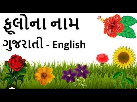flowers name# ફુલ ના નામ #flowers name Gujarati and English with picture # please like and subscribe