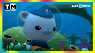 Cartoonito (Australia, free-to-air feed) - channel launch (August 18, 2023)