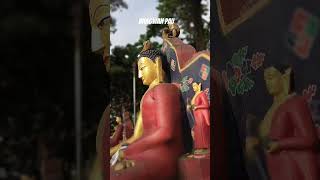 Bhagwan Pau swoyambhu Kathmandu #ytsshorts #monkey #survival #youtube #buddha