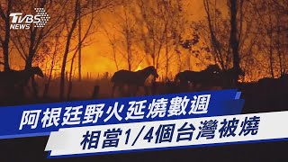 阿根廷野火延燒數週 相當1/4個台灣被燒｜TVBS新聞