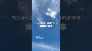 休日こそ家事  #1歳2ヶ月 # #しーふぁみ #ワンオペ育児  #ワンオペ #cfamily #vlog