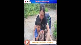 Vietnamese baby elephant and aunt Episode 32: #rurallife #Vietnameseorphans #Vietnameseliferecord...