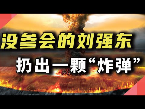 没参会的刘强东，扔出一颗“炸弹”