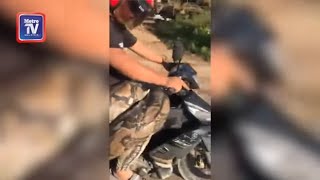 Selamba lilit ular sawa besar di pinggang
