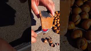 Chestnut peeling #shorts #smartideas