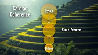 Cardiac Coherence - 5 minute exercise (breathing)