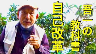 自己改革、吾一