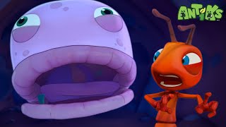 Escape the Worm! | Antiks 🐜 | Funny Cartoons for Kids