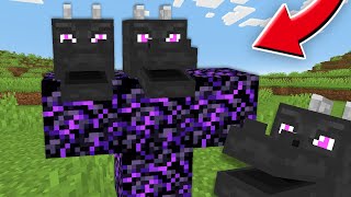 【マイクラ】見たことないボスを召喚できるマインクラフト