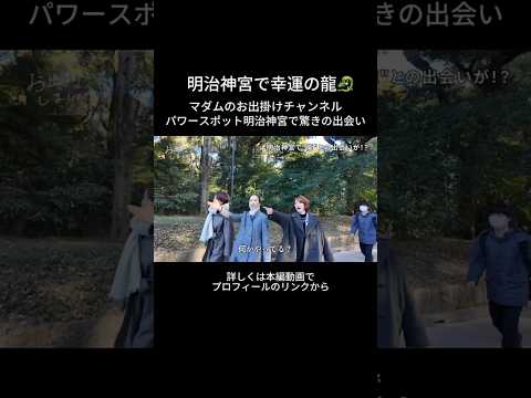 明治神宮で幸運の龍　マダムのお出掛けで偶然の出会い #50代コーデ #40代コーデ  #表参道 #明治神宮 #豊昇龍