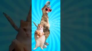 cat dance #cat #viral #trending #catvideos #eplorepage #shorts